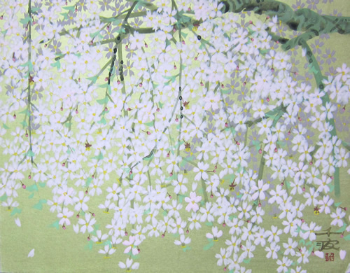 図版：「枝垂れ桜」6F 中島 千波